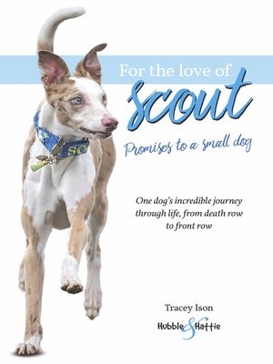 cover image of For the Love of Scout